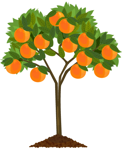 Statistical Literacy Toolkit Ora Anga Tūmanava