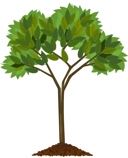 Statistical Literacy Toolkit Ora Anga Tūmanava